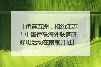 侨连五洲，相约江苏！中国侨联海外联谊研修班活动在南京开班