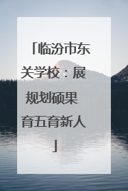 临汾市东关学校：展规划硕果 育五育新人