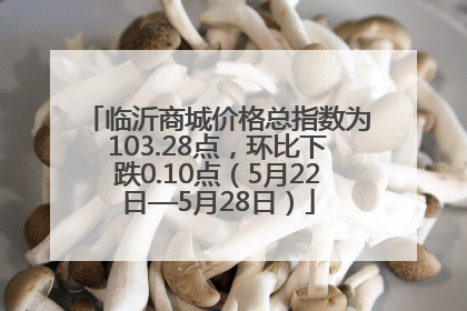 临沂商城价格总指数为103.28点，环比下跌0.10点（5月22日—5月28日）