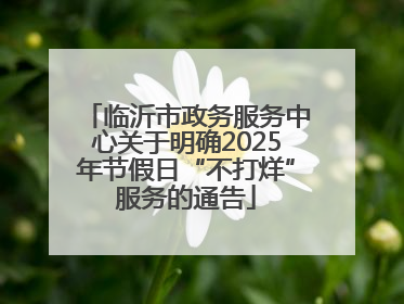 临沂市政务服务中心关于明确2025年节假日“不打烊”服务的通告