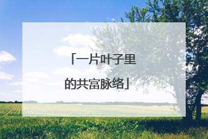 一片叶子里的共富脉络