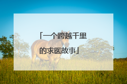 一个跨越千里的求医故事