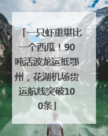 一只虾重堪比一个西瓜！90吨活波龙运抵鄂州，花湖机场货运航线突破100条