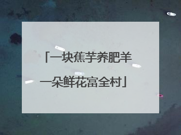一块蕉芋养肥羊 一朵鲜花富全村