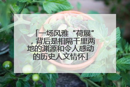 一场风雅“荷展”，背后是相隔千里两地的渊源和令人感动的历史人文情怀