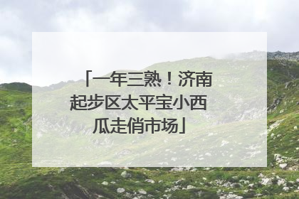 一年三熟！济南起步区太平宝小西瓜走俏市场