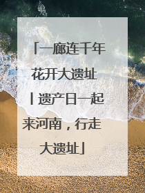 一廊连千年 花开大遗址丨遗产日一起来河南，行走大遗址