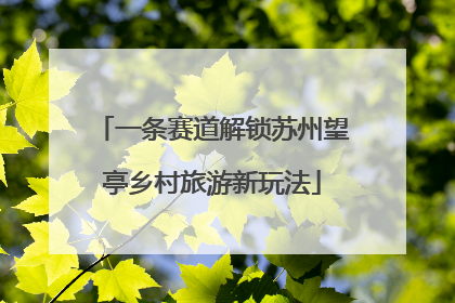 一条赛道解锁苏州望亭乡村旅游新玩法