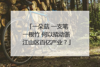 一朵菇 一支笔 一根竹 何以撬动浙江山区百亿产业？