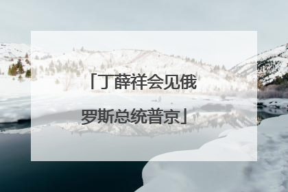 丁薛祥会见俄罗斯总统普京