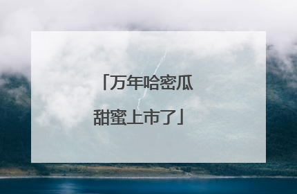 万年哈密瓜甜蜜上市了
