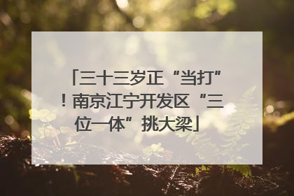 三十三岁正“当打”！南京江宁开发区“三位一体”挑大梁