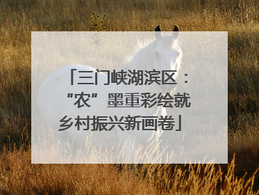 三门峡湖滨区：“农”墨重彩绘就乡村振兴新画卷