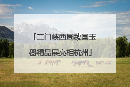 三门峡西周虢国玉器精品展亮相杭州