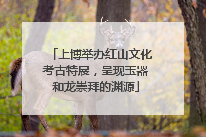 上博举办红山文化考古特展，呈现玉器和龙崇拜的渊源