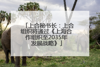 上合秘书长：上合组织将通过《上海合作组织至2035年发展战略》