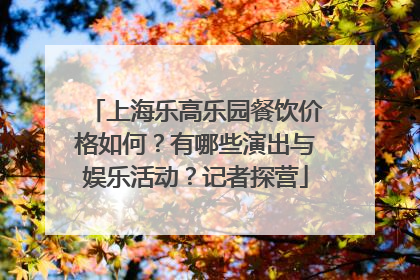 上海乐高乐园餐饮价格如何？有哪些演出与娱乐活动？记者探营