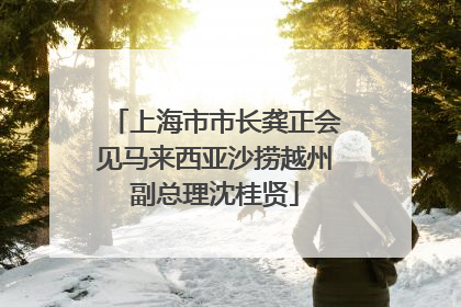 上海市市长龚正会见马来西亚沙捞越州副总理沈桂贤