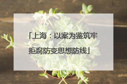 上海：以案为鉴筑牢拒腐防变思想防线