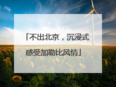 不出北京，沉浸式感受加勒比风情