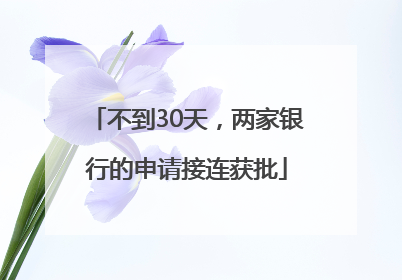 不到30天，两家银行的申请接连获批