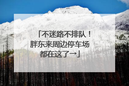 不迷路不排队！胖东来周边停车场都在这了→