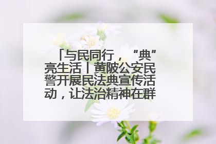 与民同行，“典”亮生活丨黄陂公安民警开展民法典宣传活动，让法治精神在群众心中落地生根