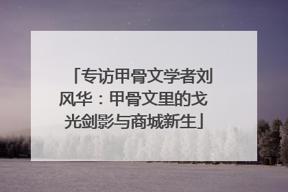 专访甲骨文学者刘风华：甲骨文里的戈光剑影与商城新生