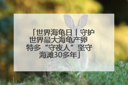 世界海龟日丨守护世界最大海龟产卵 特多“守夜人”坚守海滩30多年