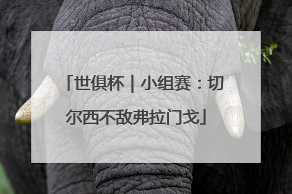 世俱杯｜小组赛：切尔西不敌弗拉门戈