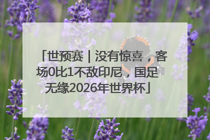 世预赛｜没有惊喜，客场0比1不敌印尼，国足无缘2026年世界杯