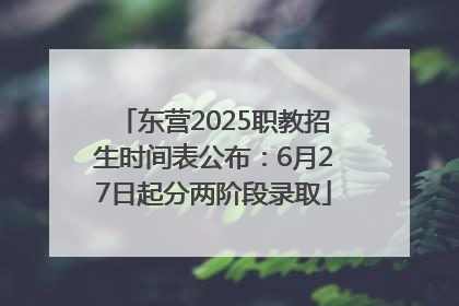 东营2025职教招生时间表公布：6月27日起分两阶段录取