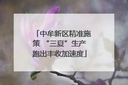 中牟新区精准施策 “三夏”生产跑出丰收加速度