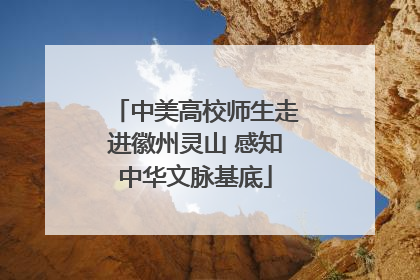 中美高校师生走进徽州灵山 感知中华文脉基底