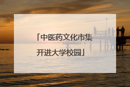 中医药文化市集开进大学校园