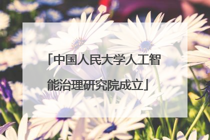 中国人民大学人工智能治理研究院成立