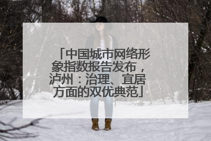中国城市网络形象指数报告发布，泸州：治理、宜居方面的双优典范