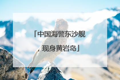 中国海警东沙舰，现身黄岩岛