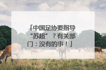 中国足协要指导“苏超”？有关部门：没有的事！