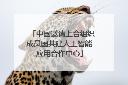 中国邀请上合组织成员国共建人工智能应用合作中心