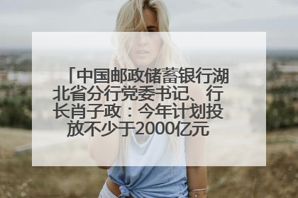 中国邮政储蓄银行湖北省分行党委书记、行长肖子政：今年计划投放不少于2000亿元支持支点建设