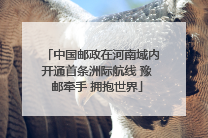 中国邮政在河南域内开通首条洲际航线 豫邮牵手 拥抱世界