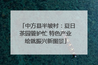 中方县半坡村：夏日茶园管护忙 特色产业绘就振兴新图景
