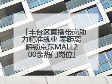 丰台区直播带岗助力精准就业 零距离解锁京东MALL200余热门岗位