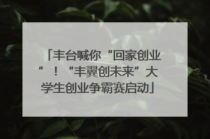 丰台喊你“回家创业”！“丰翼创未来”大学生创业争霸赛启动