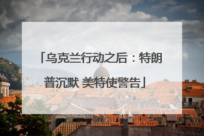 乌克兰行动之后：特朗普沉默 美特使警告