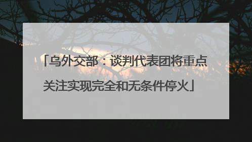 乌外交部：谈判代表团将重点关注实现完全和无条件停火