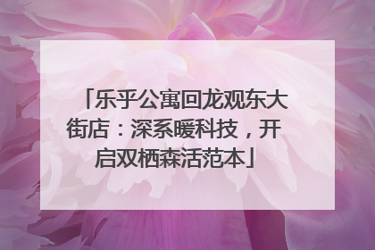 乐乎公寓回龙观东大街店：深系暖科技，开启双栖森活范本