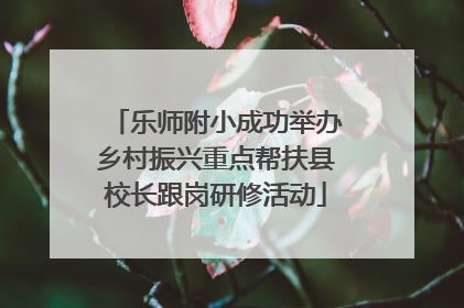 乐师附小成功举办乡村振兴重点帮扶县校长跟岗研修活动