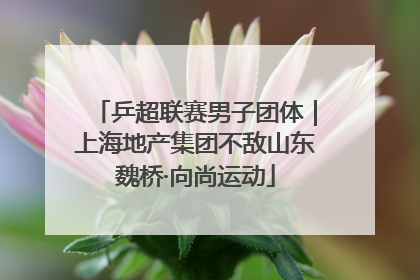 乒超联赛男子团体｜上海地产集团不敌山东魏桥·向尚运动